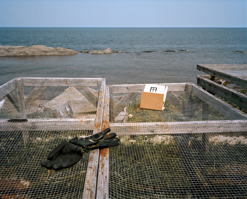 http://www.bertrandcarriere.com/files/gimgs/th-11_04_apres strand.jpg